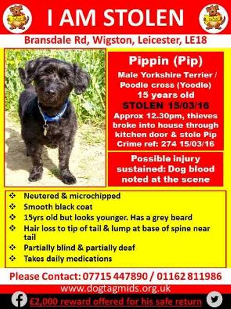 Pippin poster.jpg