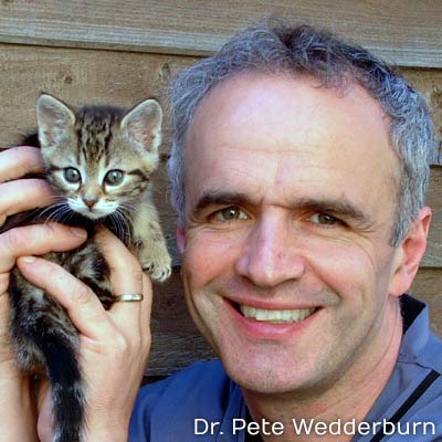 Dr. Pete Wedderburn - Cat Chat Champion