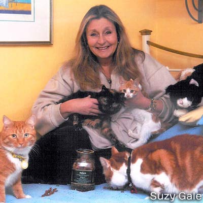 Lady Suzy Gale - Cat Chat patron