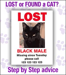 lost and found cat advice