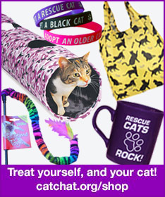 Shop at the Cat Chat webshop and raise funds
