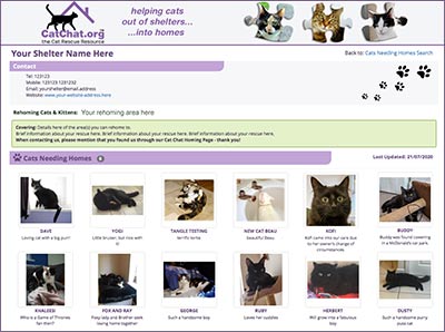 Cat Chat Free Cat Homing Pages