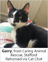 Garry from Caring Animal Rescue (Stafford) - Homed