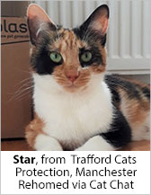 Star from CP - Trafford (Manchester) - Homed