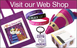 Buy from the Cat Chat Web Shop