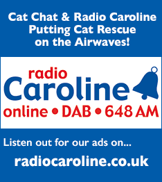 Radio Caroline and Cat Chat promoting cat rescue