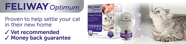 Feliway helps cats settle into new homes