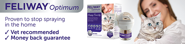 Feliway Classic helps reduce or prevent cats spraying indoors