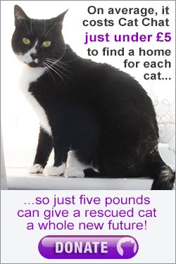 a fiver to rehome a cat