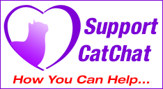How to help or support Cat Chat